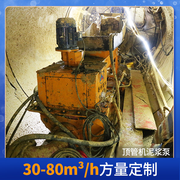 頂管泵 頂管泵